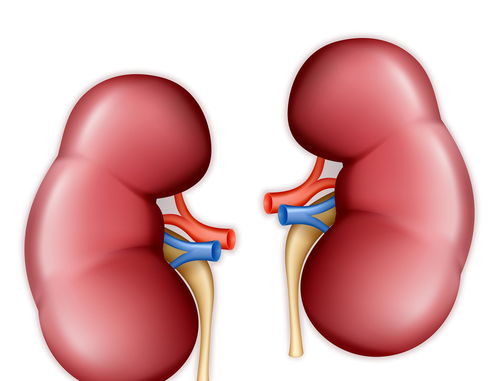 囊肿-体检发现囊肿，看了三个专家说法不一，最后手术证实是黏液性囊腺瘤
