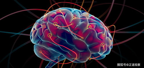 脑转移癌-乳腺癌术后五年突然头痛呕吐，神经外科会诊发现脑转移瘤