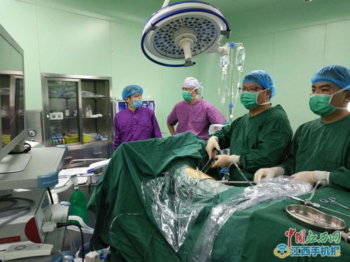 胸膜间皮瘤-石棉接触史胸水查不出原因，胸外科胸腔镜活检确诊