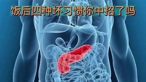 肾嫌色细胞癌-体检发现肾占位，手术预后良好