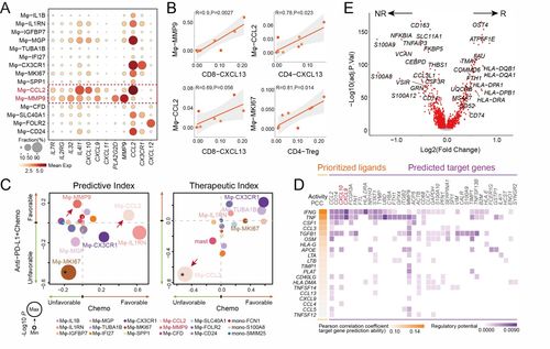 PD-L1：肿瘤细胞上的蛋白，表达高免疫治疗效果好