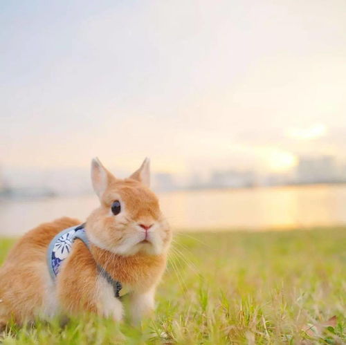 丙肝：丙肝病毒能治愈——早发现早治疗