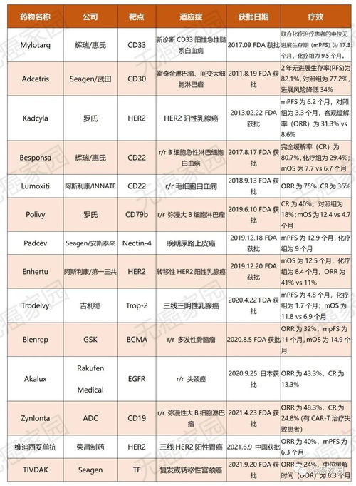 乳腺癌靶向药：HER2阳性有靶向药