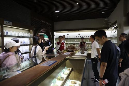 国家中医儿科学实验室