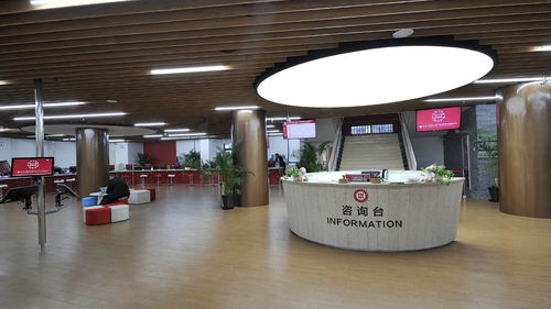 国家,中医,外科学,实验室