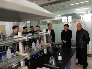 国家,中医,康复学,复学,实验室