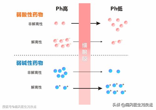 小儿AMT基因突变能治吗