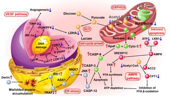 小儿GCSH基因突变能治吗