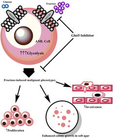 小儿Gilteritinib能治AML吗