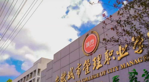 为什么有的人总生病，有的人却很少感冒