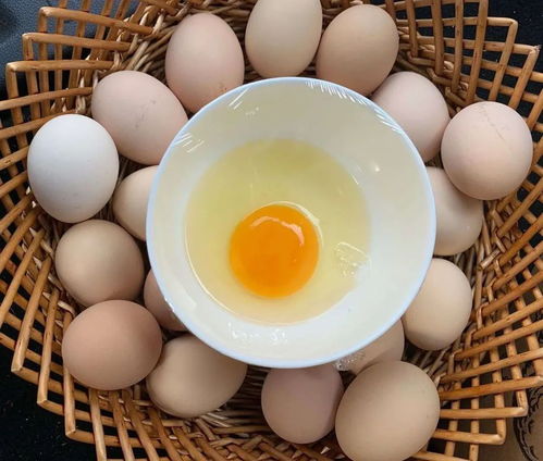 一天吃几个鸡蛋最健康？胆固醇高的人看过来