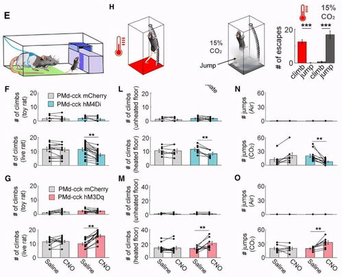 一天中什么时候运动减肥效果最好