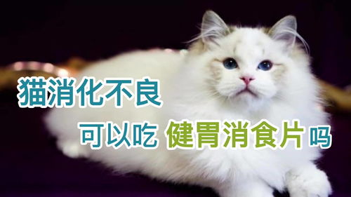 健胃消食片能常吃吗