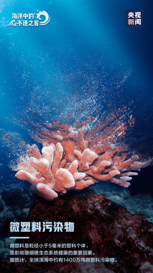 世界老花眼日世界老花眼日 世界老花眼日世界老花眼日