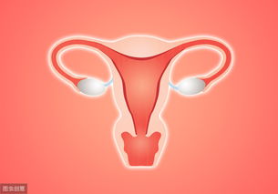 世界,子宫,内膜,异位,症日