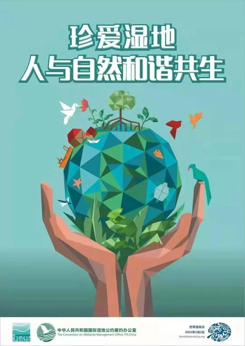 世界,黄斑,病日