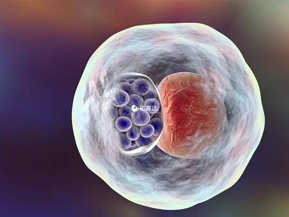 2018年试管婴儿价格 2018年试管婴儿价格