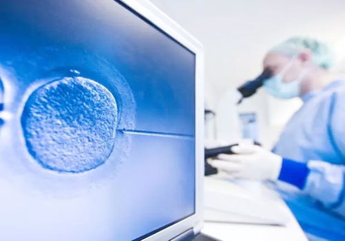 35岁单身试管婴儿