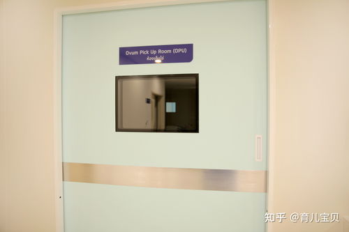 3代试管婴儿费用是多少