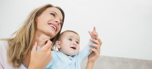 43岁试管婴儿成功率