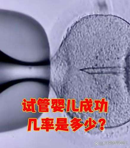 40岁做试管婴儿成功率高吗