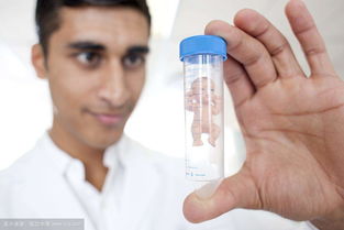 40岁可以做试管婴儿吗