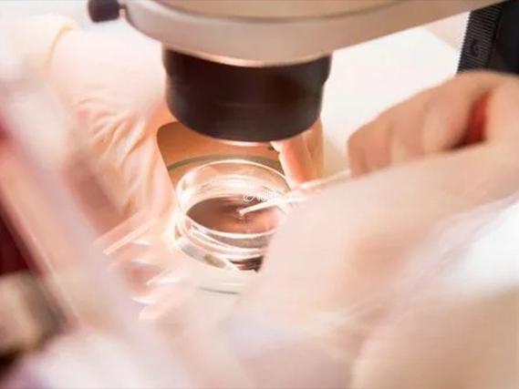 45岁做试管婴儿成功率多少