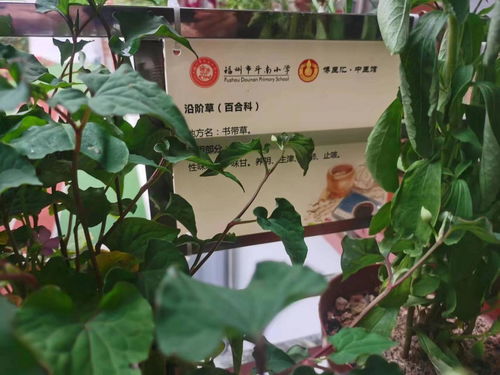 国家中医疫病防治基地