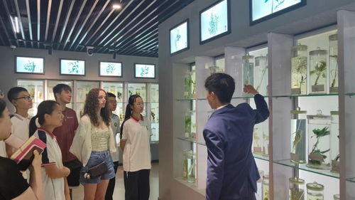 国家,中医药,博物馆