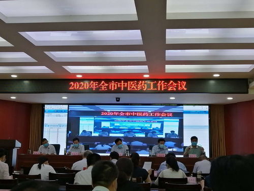 国家,中医药,传承,创新,中心