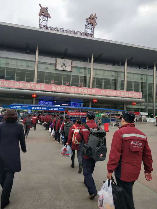 国家,中医,紧急,医学,救援