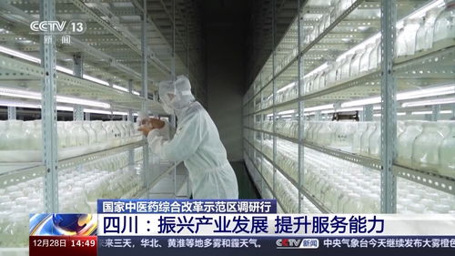 国家,中药,标准化,研究中心