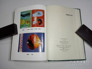 国家,中药,炮制,中心