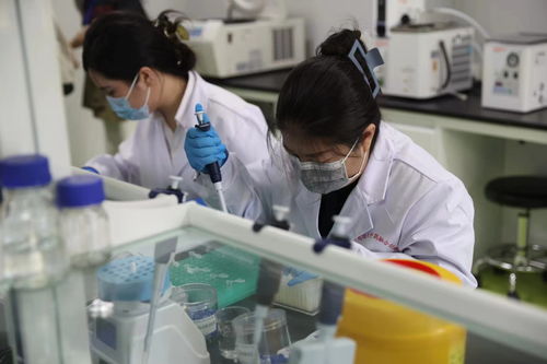 国家,中药,鉴定,实验室