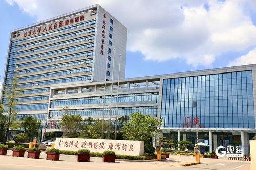 国家区域医疗中心