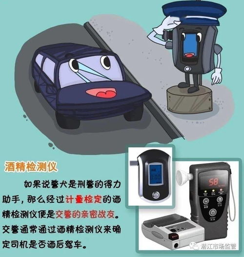 减肥心态崩了怎么办？这5个方法帮你坚持