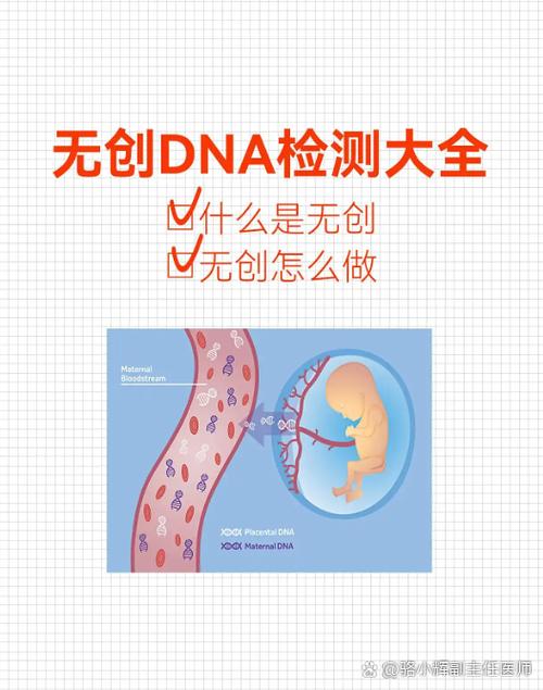 DNA碎片率高，对试管有什么影响