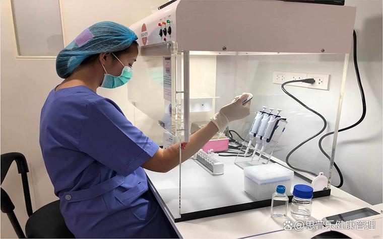 les试管婴儿怎么做，泰国试管婴儿恒健