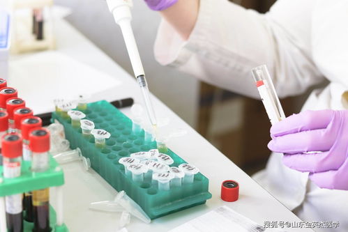 les试管婴儿怎么做，泰国试管婴儿恒健