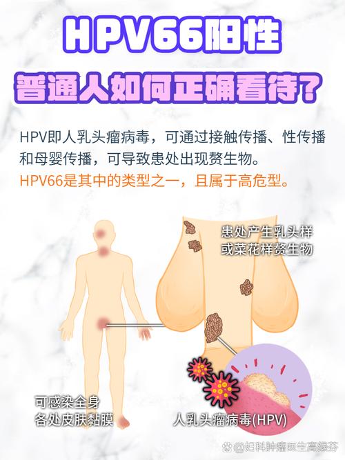hpv阳性能做试管婴儿吗