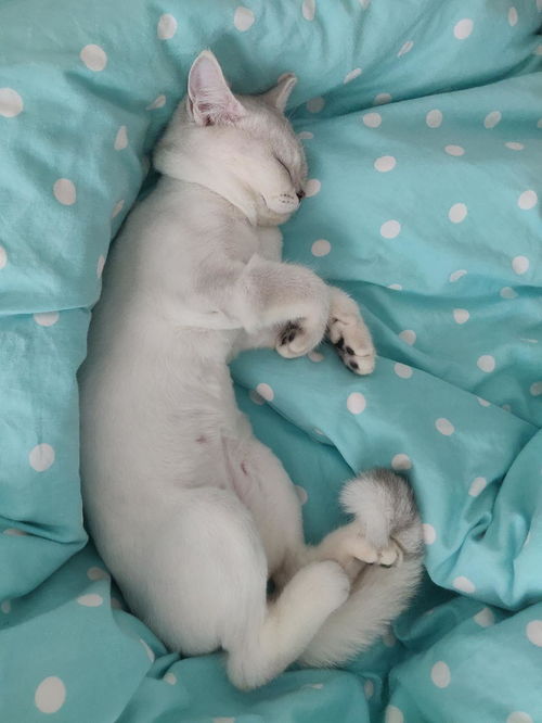 体重：多重算正常