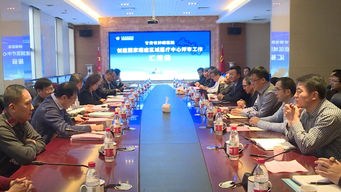 国家区域医疗中心建设试点