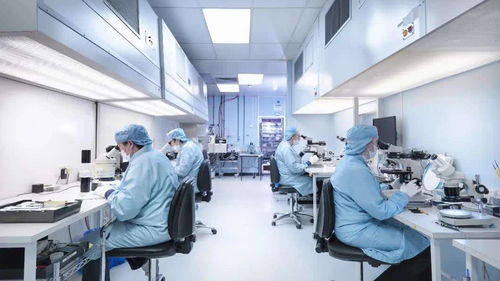 国家,推拿,实验室