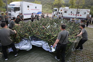 国家,突发,急性传染病,防控