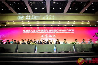 国家,精准,医学,研究中心