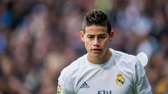 小儿,西尼,莫德,能治,MS