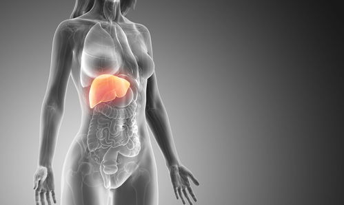 动不动就发火，可能是这里出了问题