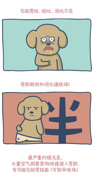 吃饭太快有什么危害