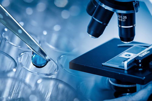 三代试管婴儿成功率