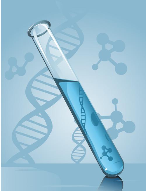 三代试管婴儿成功率，成长过程